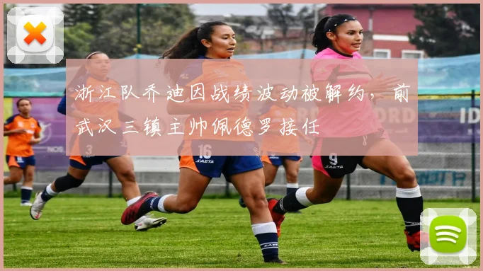 浙江队乔迪因战绩波动被解约，前武汉三镇主帅佩德罗接任