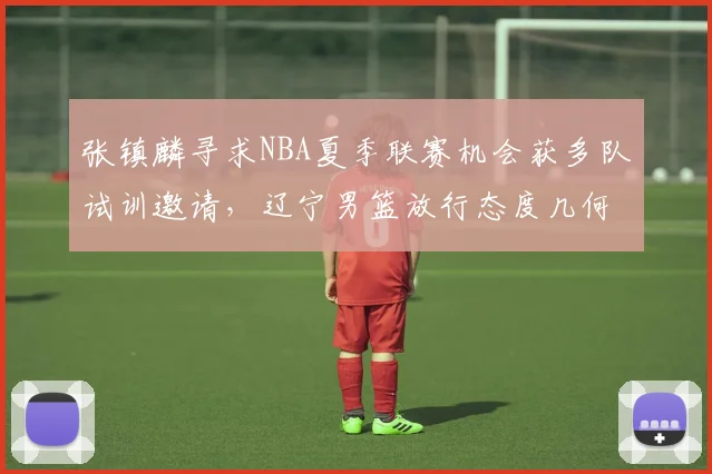 张镇麟寻求NBA夏季联赛机会获多队试训邀请，辽宁男篮放行态度几何？
